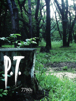 Capa de P.T.