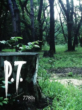 Capa de P.T.