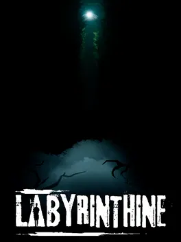 Capa de Labyrinthine