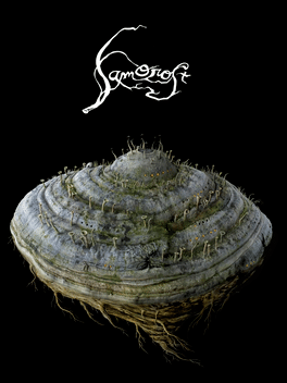 Capa de Samorost