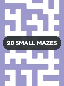Capa de 20 Small Mazes