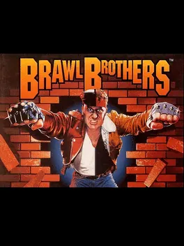 Capa de Brawl Brothers
