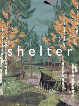 Capa de Shelter