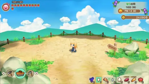 Captura de tela de Story of Seasons: Friends of Mineral Town (1 de 4)