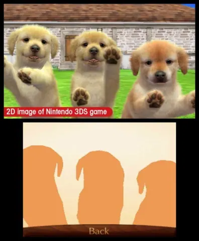 Captura de tela de Nintendogs + Cats: Golden Retriever & New Friends (1 de 1)