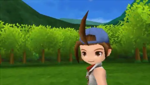 Captura de tela de Harvest Moon: Hero of Leaf Valley (1 de 4)