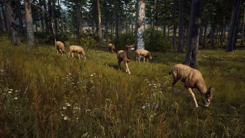 Captura de tela de Way of the Hunter (4 de 4)