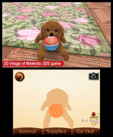 Captura de tela de Nintendogs + Cats: French Bulldog & New Friends (4 de 4)