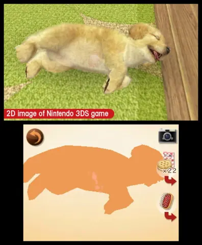 Captura de tela de Nintendogs + Cats: French Bulldog & New Friends (2 de 4)