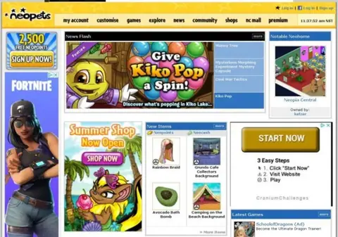 Captura de tela de Neopets Browser (1 de 1)