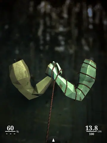 Captura de tela de Zen Bound 2 (1 de 4)