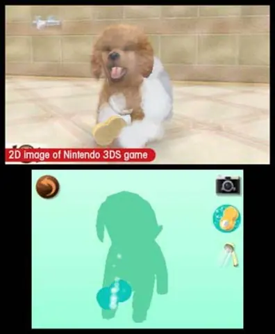 Captura de tela de Nintendogs + Cats: Toy Poodle & New Friends (3 de 4)