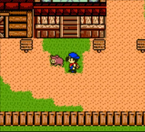 Captura de tela de Harvest Moon 3 GBC (3 de 4)