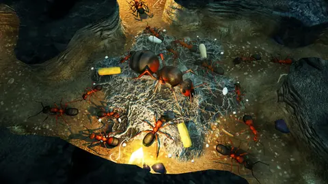 Captura de tela de Empires of the Undergrowth (3 de 4)