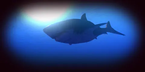 Captura de tela de Feed and Grow: Fish (3 de 4)