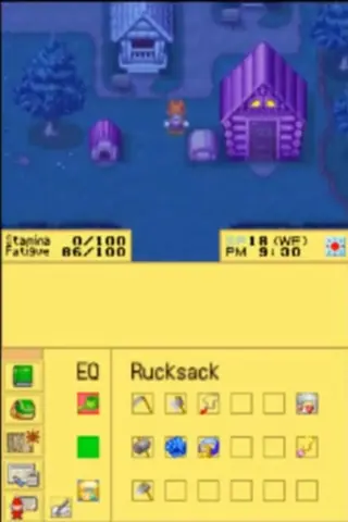 Captura de tela de Harvest Moon DS Cute (3 de 3)