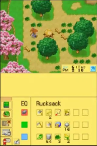 Captura de tela de Harvest Moon DS Cute (2 de 3)