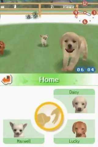 Captura de tela de Nintendogs: Chihuahua & Friends (1 de 1)