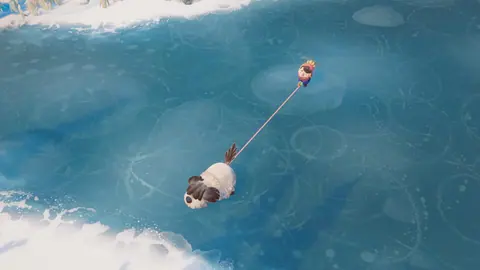 Captura de tela de Dogwalk (4 de 4)