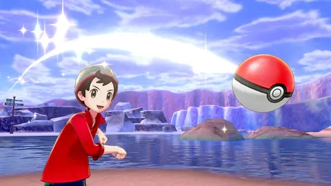 Captura de tela de Pokémon Shield (3 de 4)