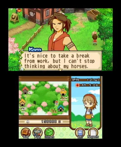 Captura de tela de Harvest Moon: The Tale of Two Towns (4 de 4)