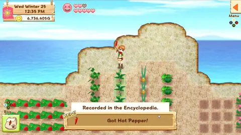 Captura de tela de Harvest Moon: Light of Hope (3 de 4)
