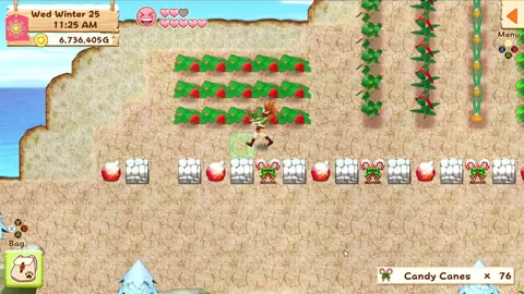 Captura de tela de Harvest Moon: Light of Hope (2 de 4)