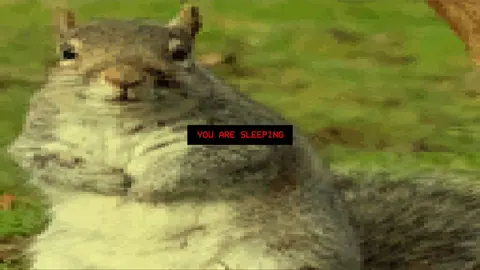 Captura de tela de Squirrel Stapler (2 de 4)