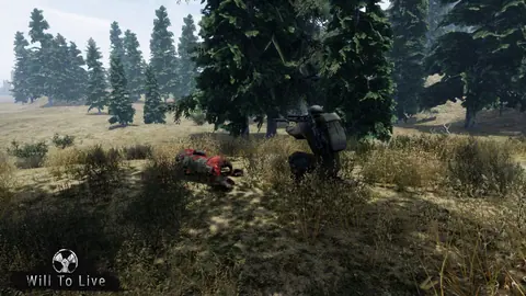 Captura de tela de Will to Live Online (4 de 4)