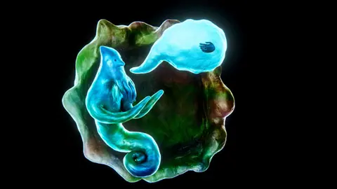 Captura de tela de Wurroom (3 de 4)