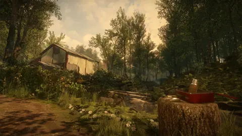 Captura de tela de Everybody's Gone to the Rapture (4 de 4)