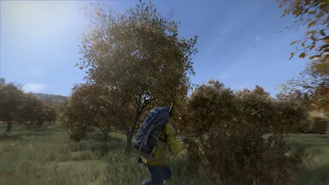 Captura de tela de DayZ (3 de 4)