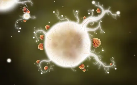 Captura de tela de Botanicula (4 de 4)