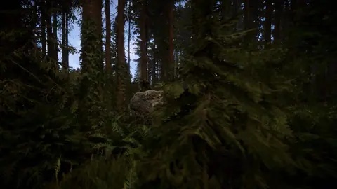 Captura de tela de Sons of the Forest (4 de 4)