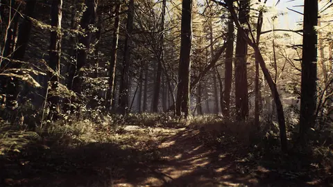 Captura de tela de Blair Witch (2 de 4)