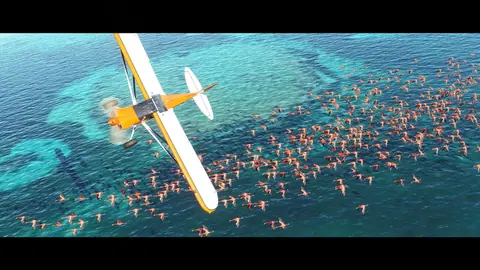 Captura de tela de Microsoft Flight Simulator (4 de 4)