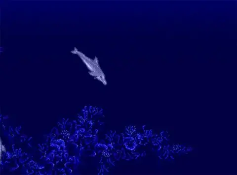 Captura de tela de Ecco the Dolphin (1 de 4)