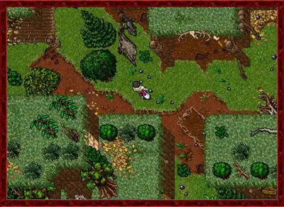 Captura de tela de Tibia (4 de 4)