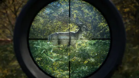 Captura de tela de TheHunter: Call of the Wild (1 de 4)