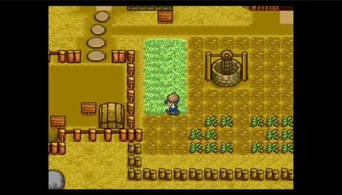 Captura de tela de Harvest Moon (1 de 4)
