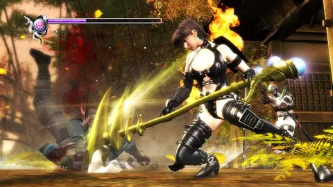 Captura de tela de Ninja Gaiden Sigma (3 de 4)