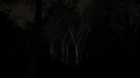 Captura de tela de Slender: The Eight Pages (3 de 4)