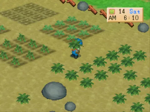 Captura de tela de Harvest Moon: Back to Nature (2 de 3)