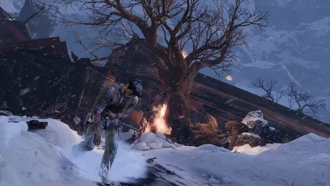 Captura de tela de Uncharted 2: Among Thieves (4 de 4)