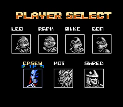 Captura de tela de Teenage Mutant Ninja Turtles: Tournament Fighters (4 de 4)