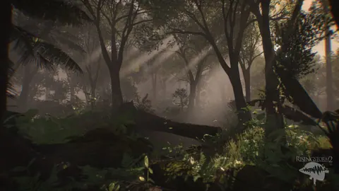 Captura de tela de Rising Storm 2: Vietnam (3 de 4)