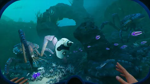 Captura de tela de Subnautica 2 (4 de 4)