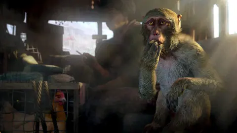 Captura de tela de Far Cry 4 (1 de 4)