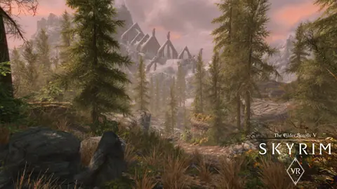 Captura de tela de The Elder Scrolls V: Skyrim VR (1 de 3)