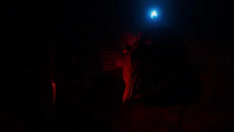 Captura de tela de Beyond Blue (1 de 4)